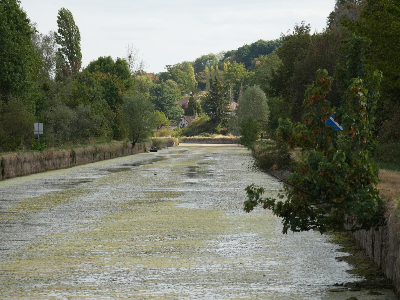 Canal Léré 08/2026