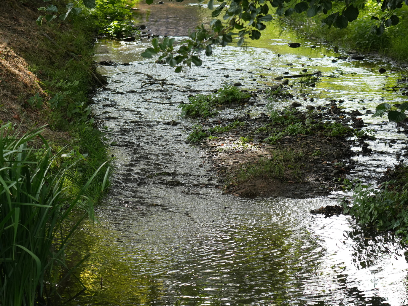 La Judelle vers le Canal Léré