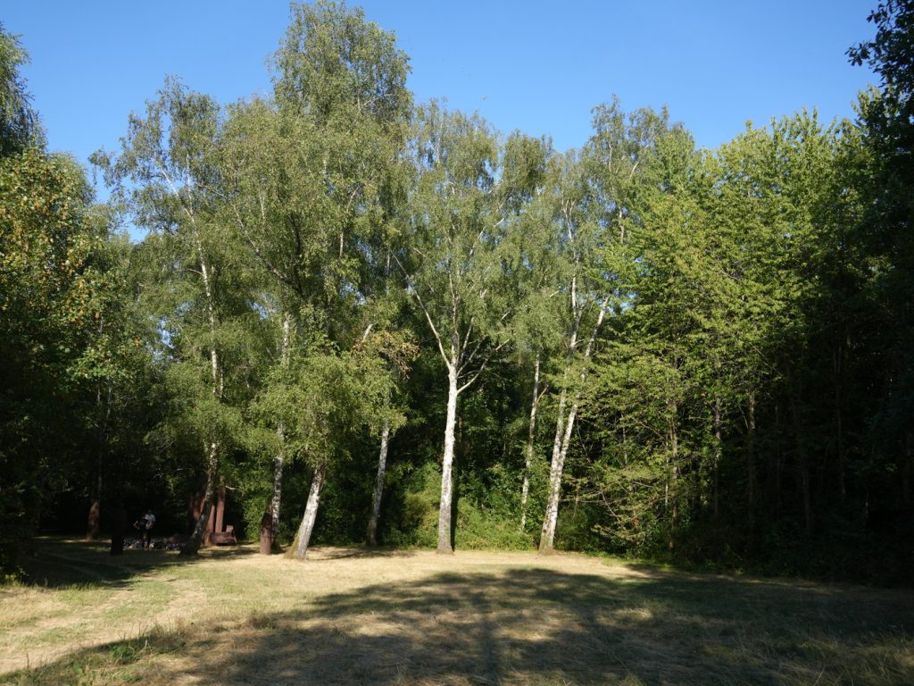 DSC01605
