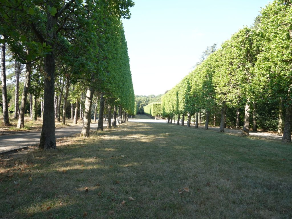 DSC01613