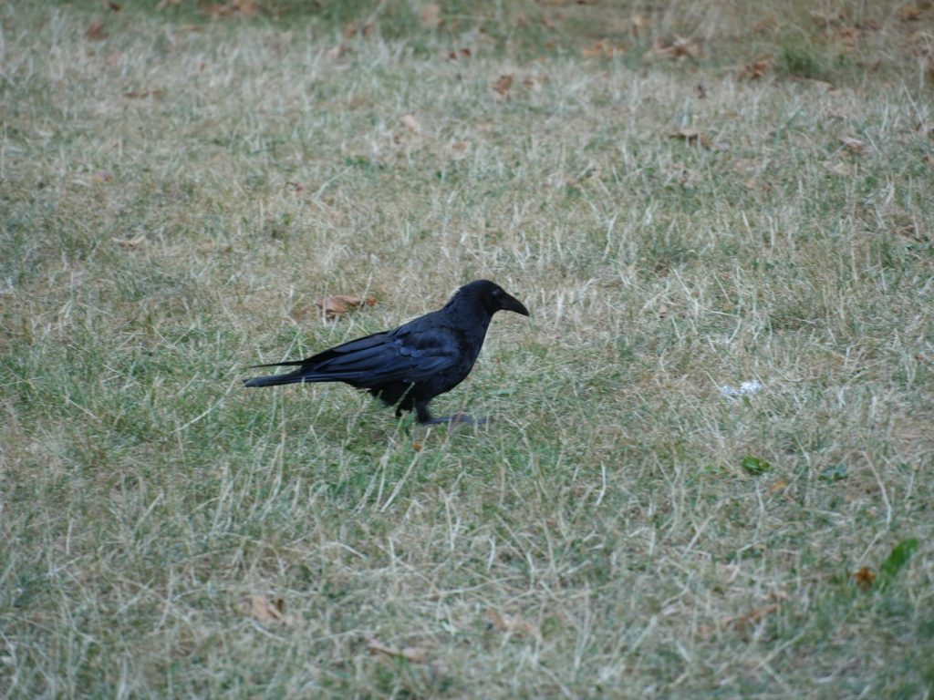DSC01615