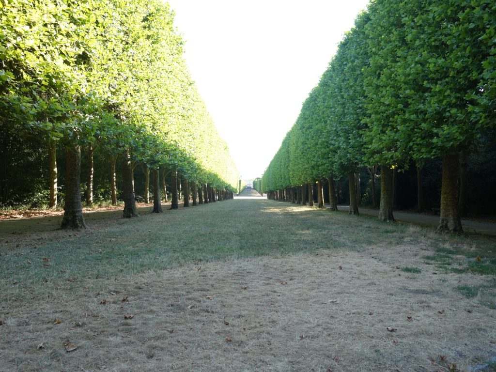 DSC01619