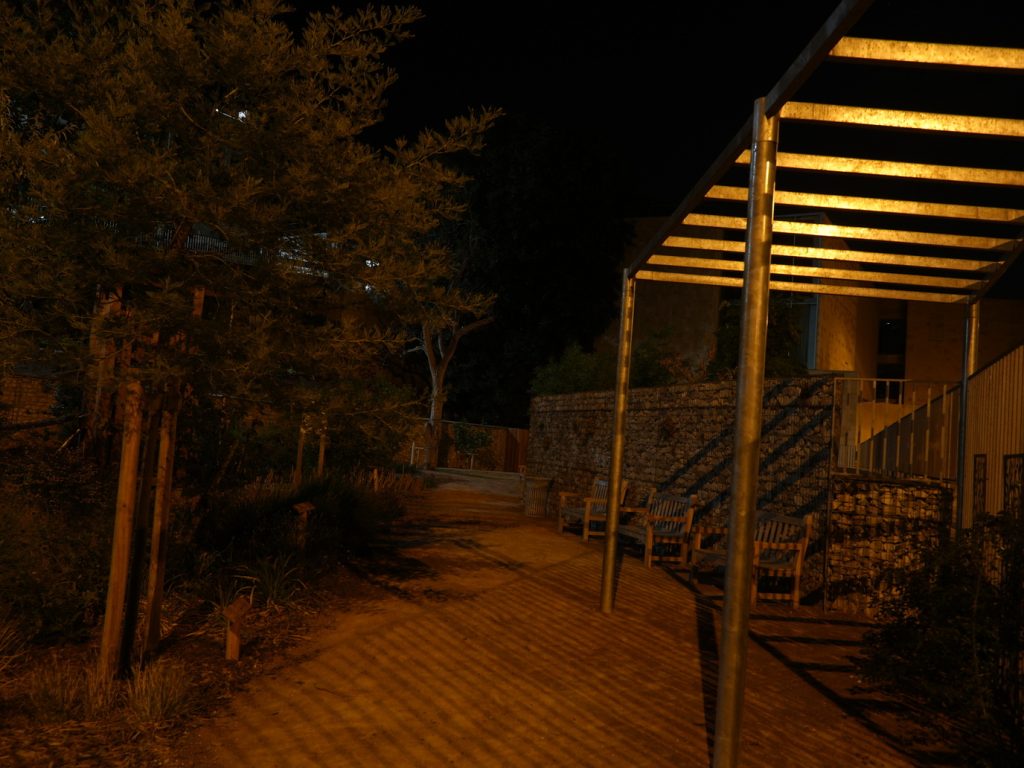 DSC01696